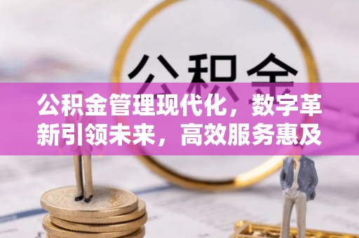 安顺公积金管理现代化，数字革新引领未来，高效服务惠及民生