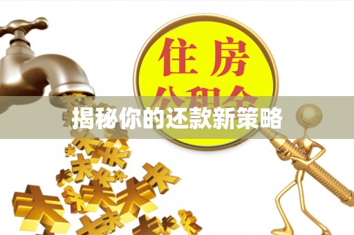 安顺揭秘你的还款新策略
