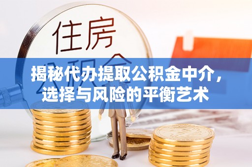 安顺揭秘代办提取公积金中介，选择与风险的平衡艺术