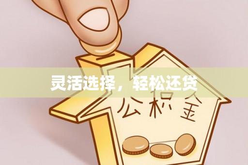 安顺灵活选择，轻松还贷